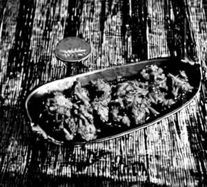 Chicken Schezwan Dry