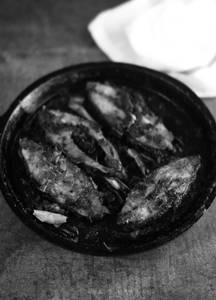 Apollo Fish