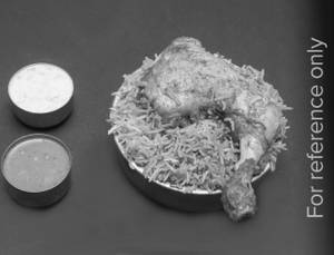 Grill Chicken Biryani Half