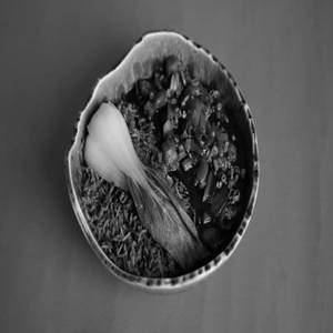 Xo Fried Rice Bowl - Veg