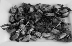 Grilled Squid Tawa Fry[spicy malabar dish]