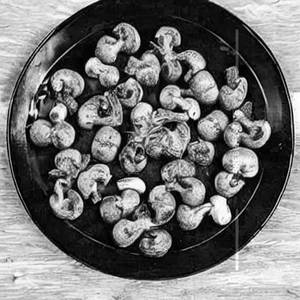 Garlic Mushrooom