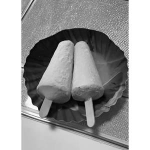 Sugar Free Kulfi