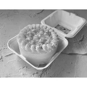 Fresh Mango Cake