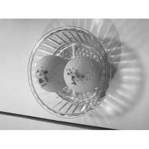 Sponge Rasgulla [1 Piece]