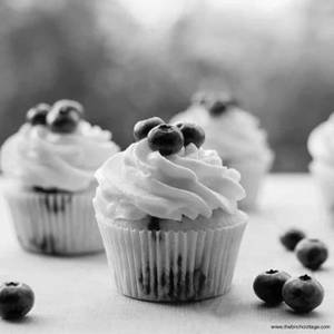 Blueberry Cupcake