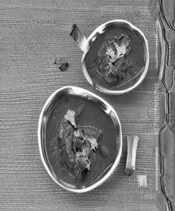 Bhuna Gosht