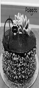 Choco Praline Cake [half Kg]