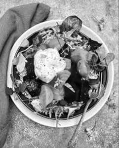 Ricotta & Beetroot Salad