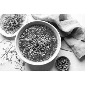 Veg Manchow Soup