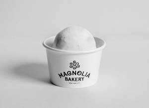 VANILLA ICE CREAM