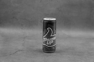Thums Up Can (330ml)