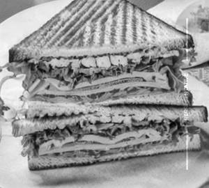 Bombay sandwich 