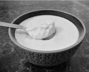 Plaine Curd