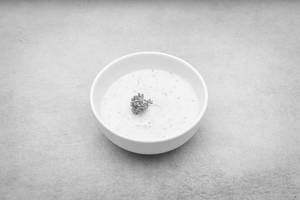 Aioli Sauce 100 Gms