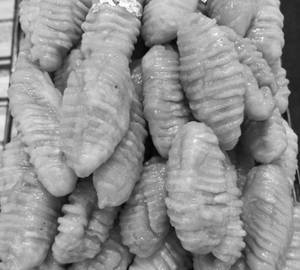 Karanji (500gm)