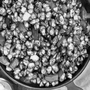 Veg crispy corn