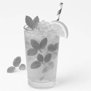 Mint Mojitoo