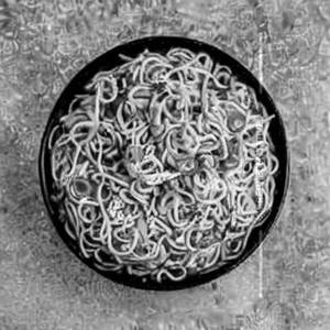 Schezwan Delight Mixed Noodles