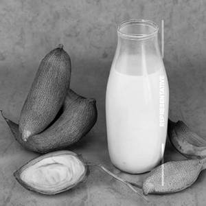 Chikoo Milk Juice