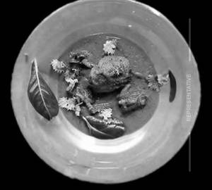 Chicken Kondattam