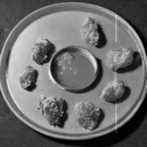 Chicken Sousage