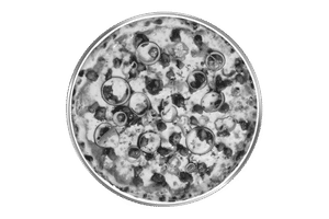 Pollo Alla Diavola Pizza [Regular]