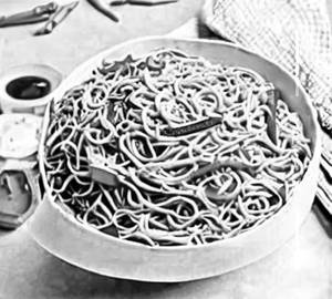 Schezwan noodles