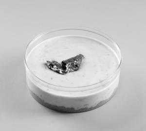 Paan Cheesecake (500 Gms)