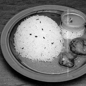 Chicken rice