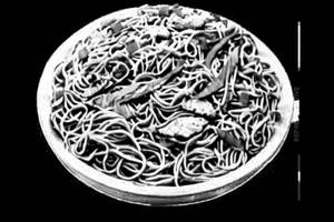Chicken Hakka Noodles