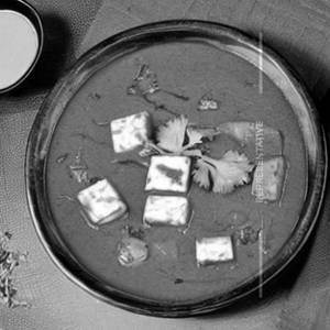 Paneer kadaai semi gravy