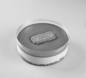 Lotus Biscoff Cheesecake (500 Gms)