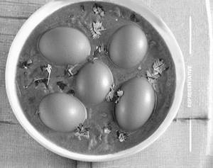 Egg Curry