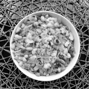 Paneer Kathod