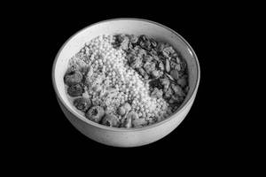Berry Breakfast Bowl