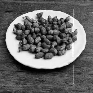 Peanut Fry