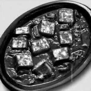 Paneer Akbari