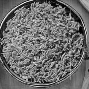 Chi Triple Schz. Rice