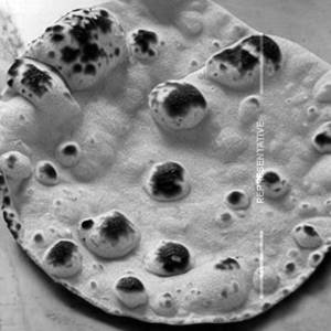 Roti