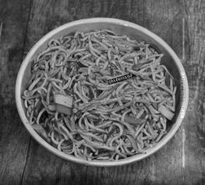 Schezwan noodles