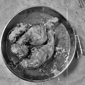 Murgh Afghani