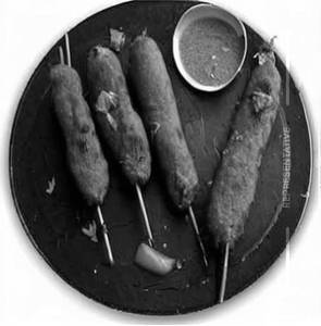 Veg Seekh Kabab