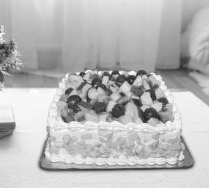 Fresh Fruit Cake Square