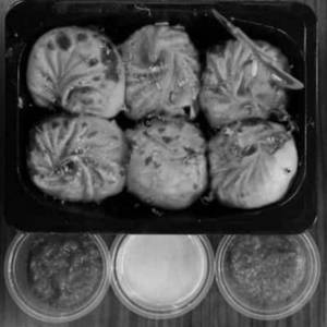 Tandoori Veg Momos