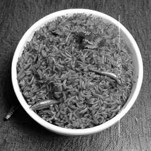 Brown rice (mangalorean style)