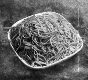 Veg manch noodles
