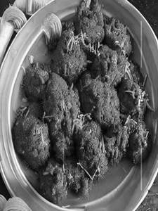 Miryala Kodi Vepudu 