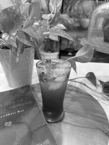 Blueberry Mojito