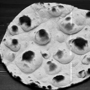 Tandoori Roti Plain